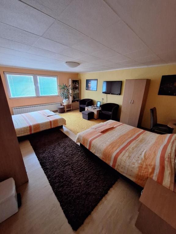 Modern&Cozy Bosnian house with GARDEN+FREE parking - View 6