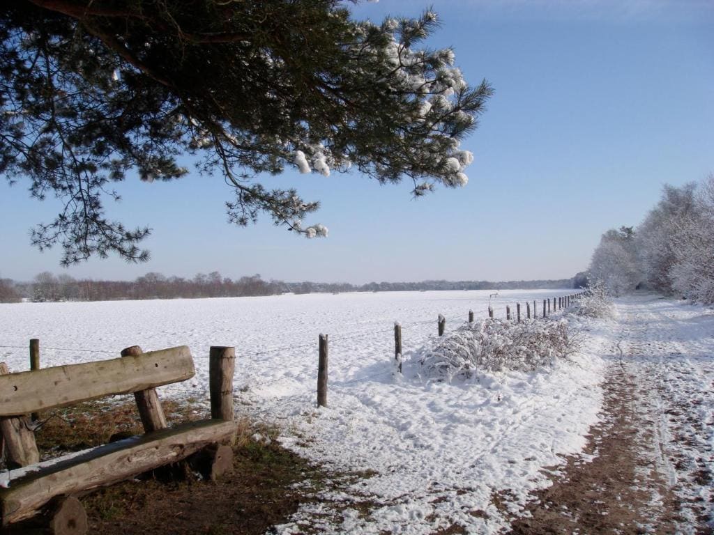 B&B De Grote Plaats - View 6