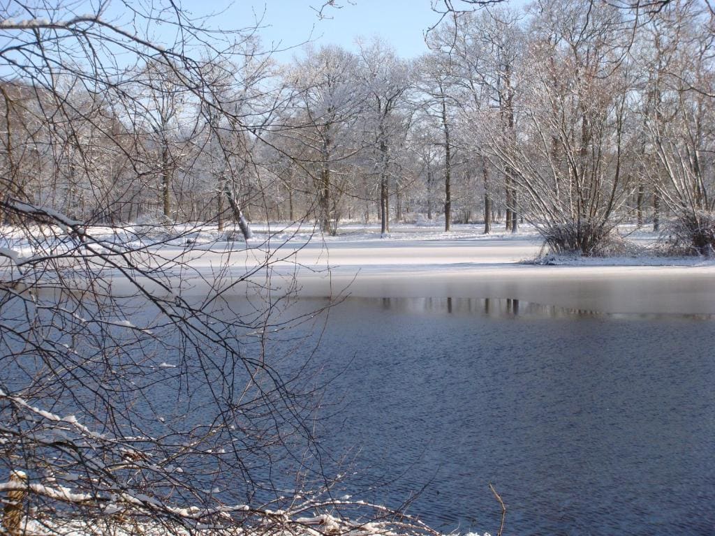 B&B De Grote Plaats - View 5