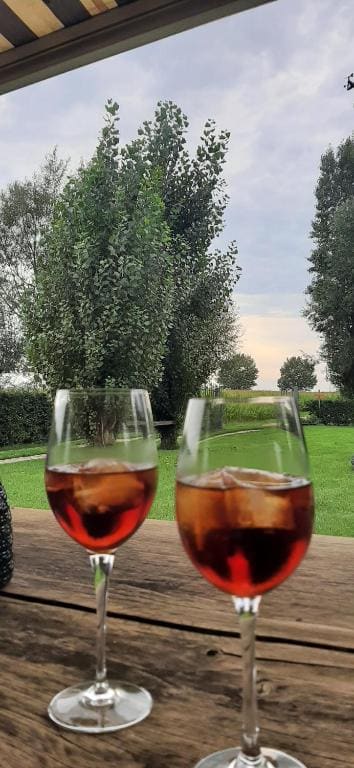 B & B Victors Hof, met zwemvijver en leuke diertjes - View 4
