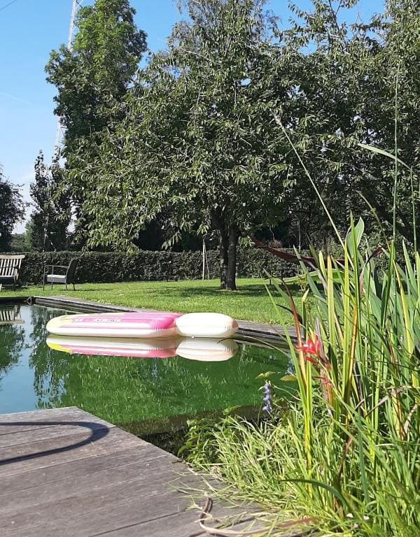 B & B Victors Hof, met zwemvijver en leuke diertjes - View 7