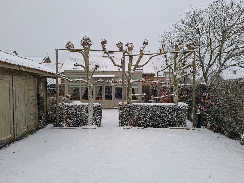 B&B Kerkevelde - View 2