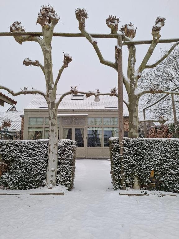B&B Kerkevelde - Main view