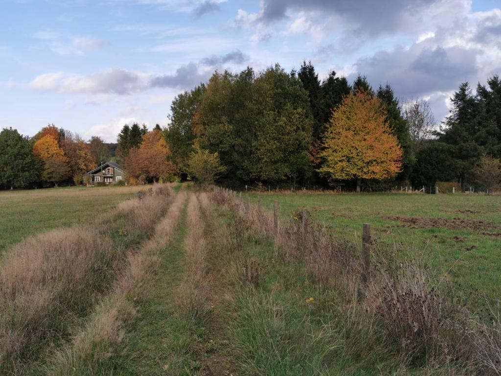 Le Cerf d'Hubert - View 5