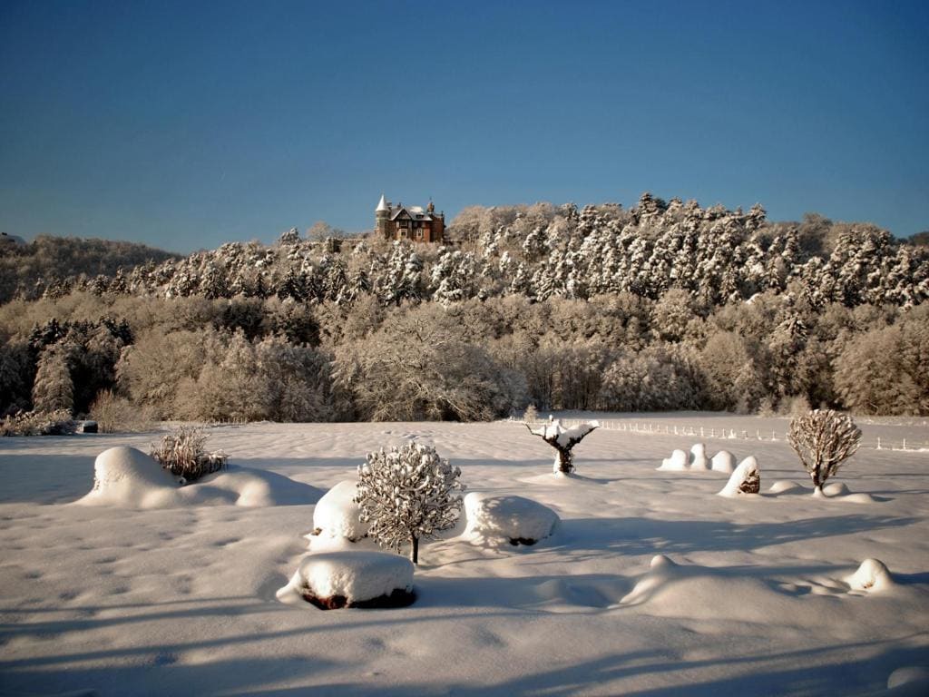B&B Le Clos du Lac - View 2