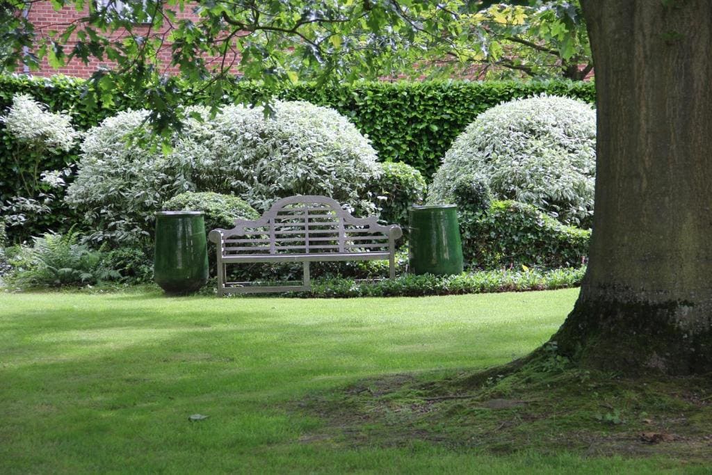 B&B L'Orangerie - View 6