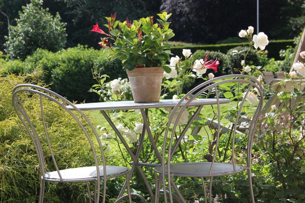 B&B L'Orangerie - View 3
