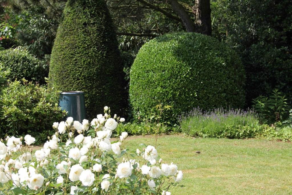B&B L'Orangerie - View 2