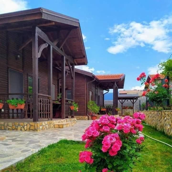 Andreevite Houses - View 4