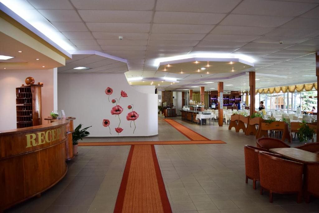 Balaton Hotel - View 3