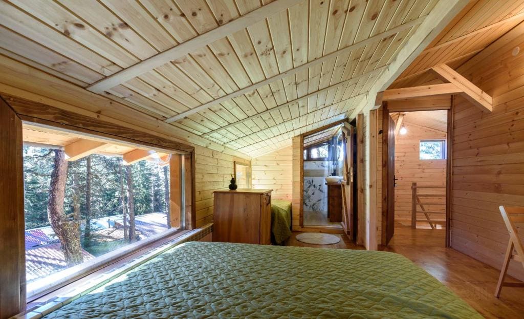Life House-Semkovo - View 6
