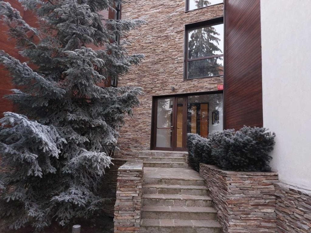 Residence E205 Euphoria Borovets - Main view
