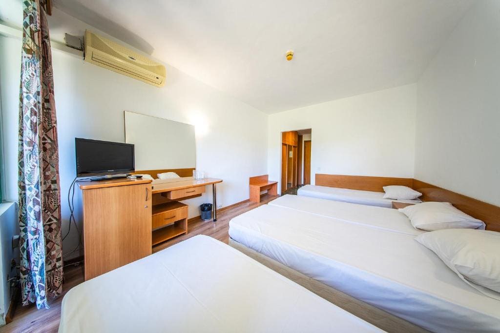 Hotel Zdravets - View 2