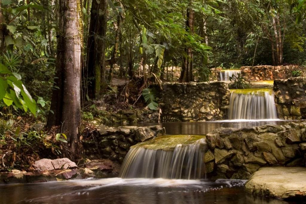 Amazon Ecopark Jungle Lodge - View 6