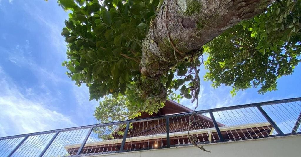 Villa Aragua - Main view