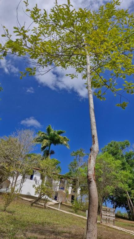 Cabana Eco Resort - View 2