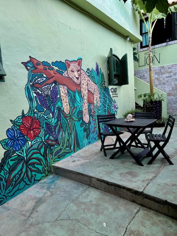 Hostel Casa Lion - Shared room - View 2