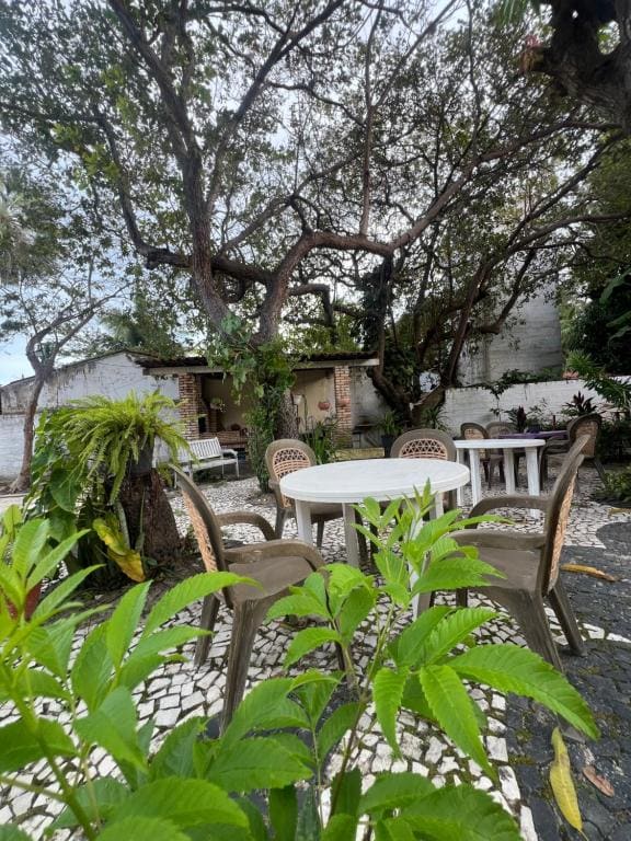 Paraíso jeri - View 7