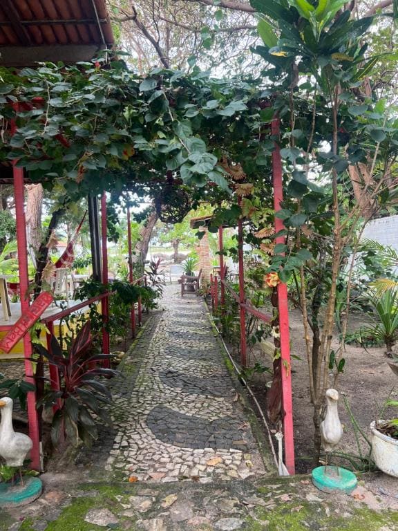 Paraíso jeri - View 5