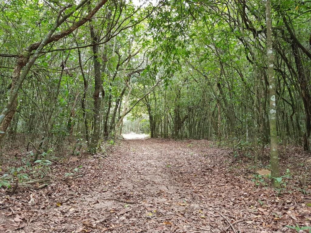 Pousada Fazenda Vitoria - View 2