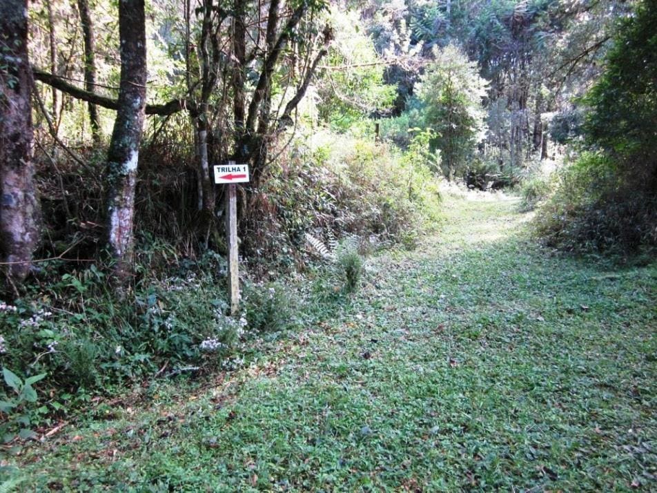 Pousada Passaredo - View 2