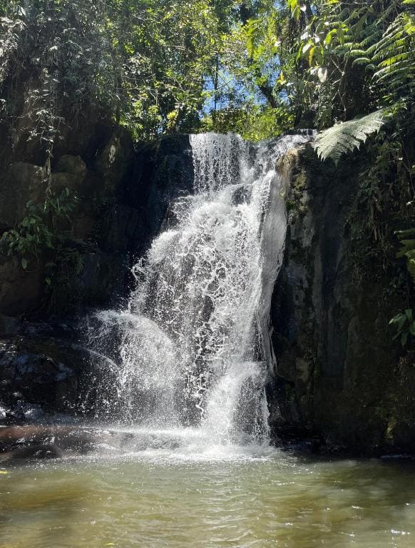 Eco Pousada São Francisco PETAR - View 5