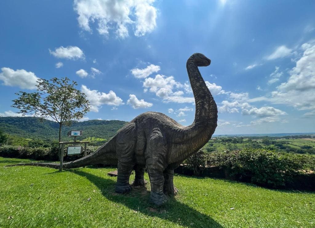 Pousada Vale do Dinossauro - View 5