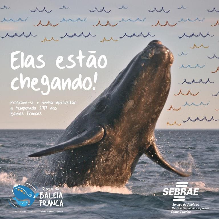 Silvestre Praia Hotel - View 7