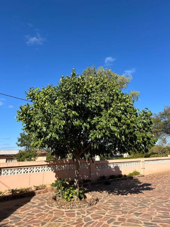 Agago Boon Guest house - Main view