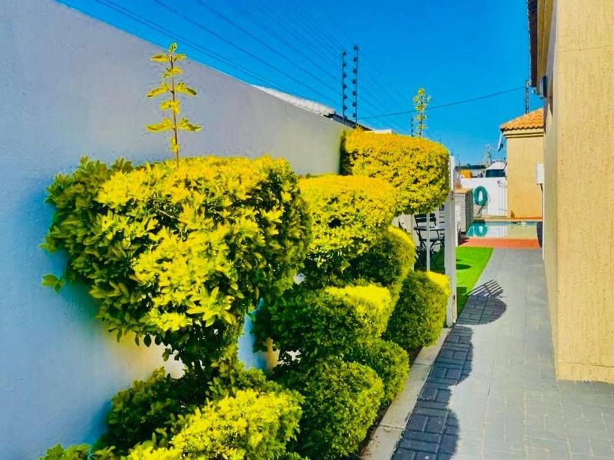 City Connect Lodging - View 7