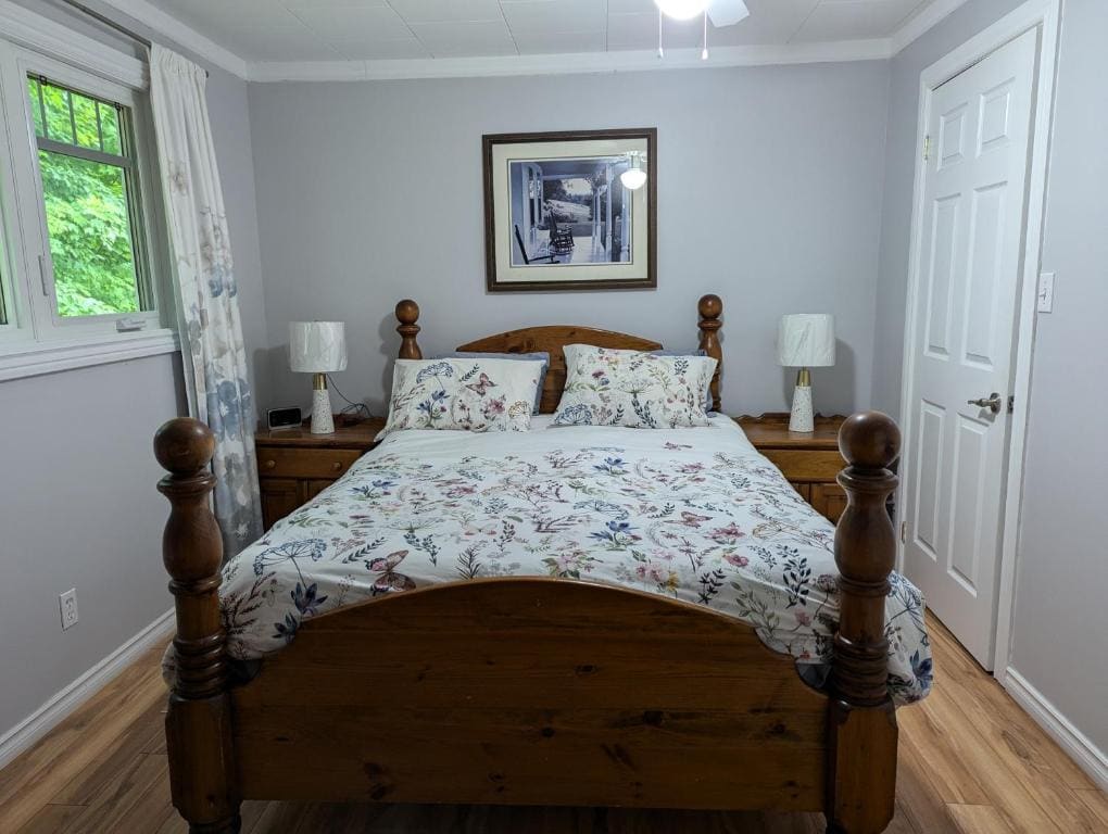 Bear & Butterfly Bed and Breakfast - View 3
