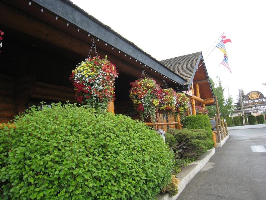 Cariboo Lodge - View 3
