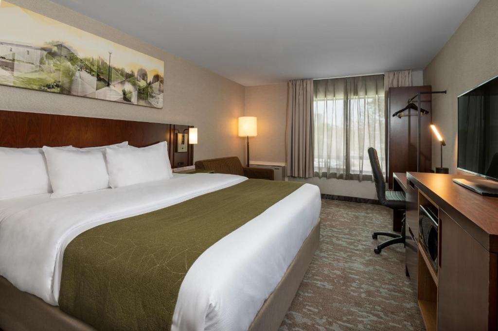 Comfort Inn - View 6