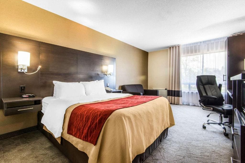 Comfort Inn - View 7