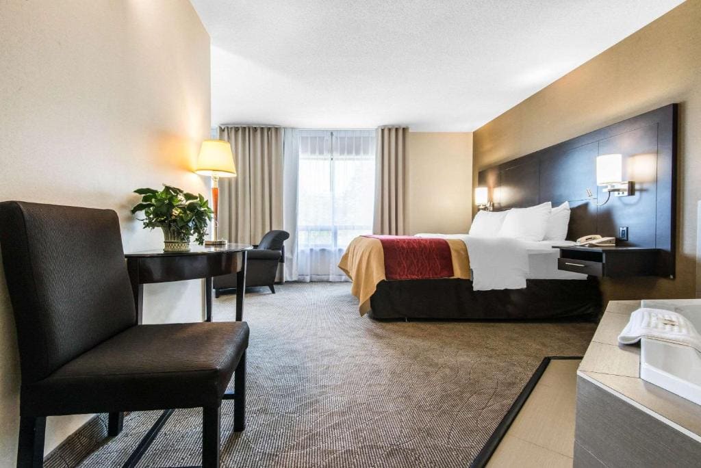 Comfort Inn - View 6