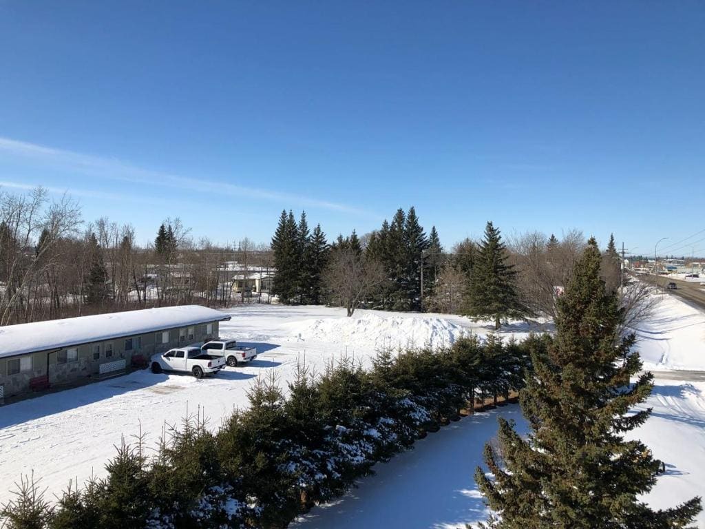 New Country Motel - View 4