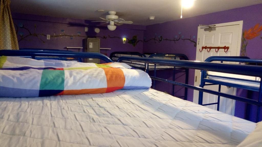 Ottawa Backpackers Inn - View 7