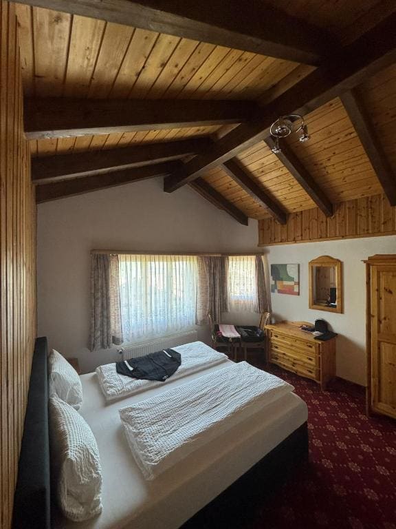 Hotel Alpina - View 2