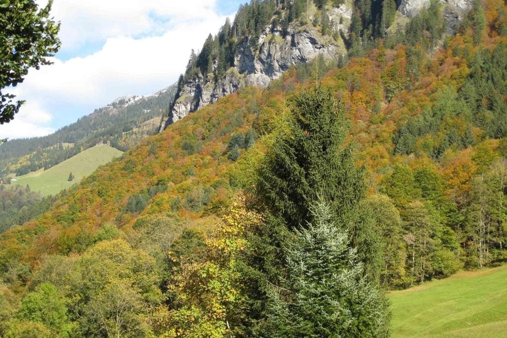 Hotel Gemse - View 5