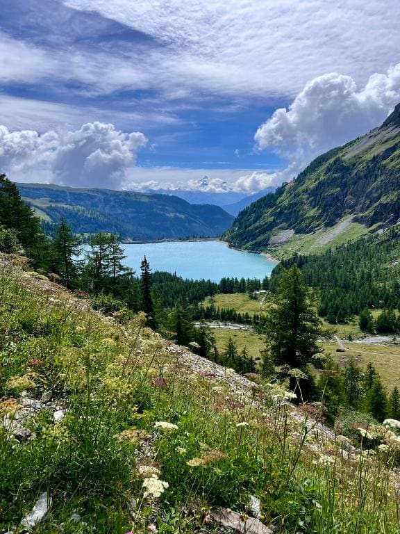 Himalayan vibes — Ansicht 3