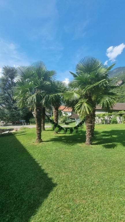 Il Rustico Claro - Main view
