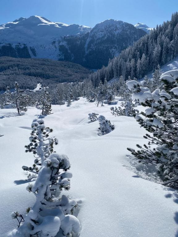 Shima-Davos - View 7