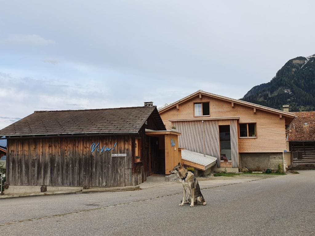 ViVa B&B Urmein - View 6