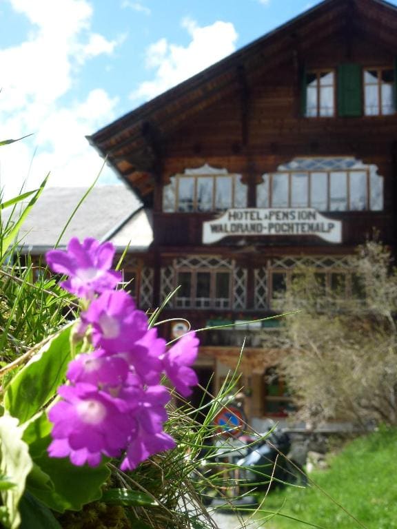 Hotel Waldrand - Main view