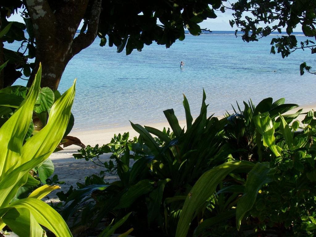 Palm Grove - Vista 2