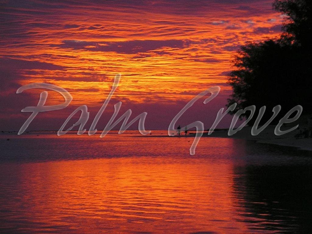 Palm Grove - Vista principale
