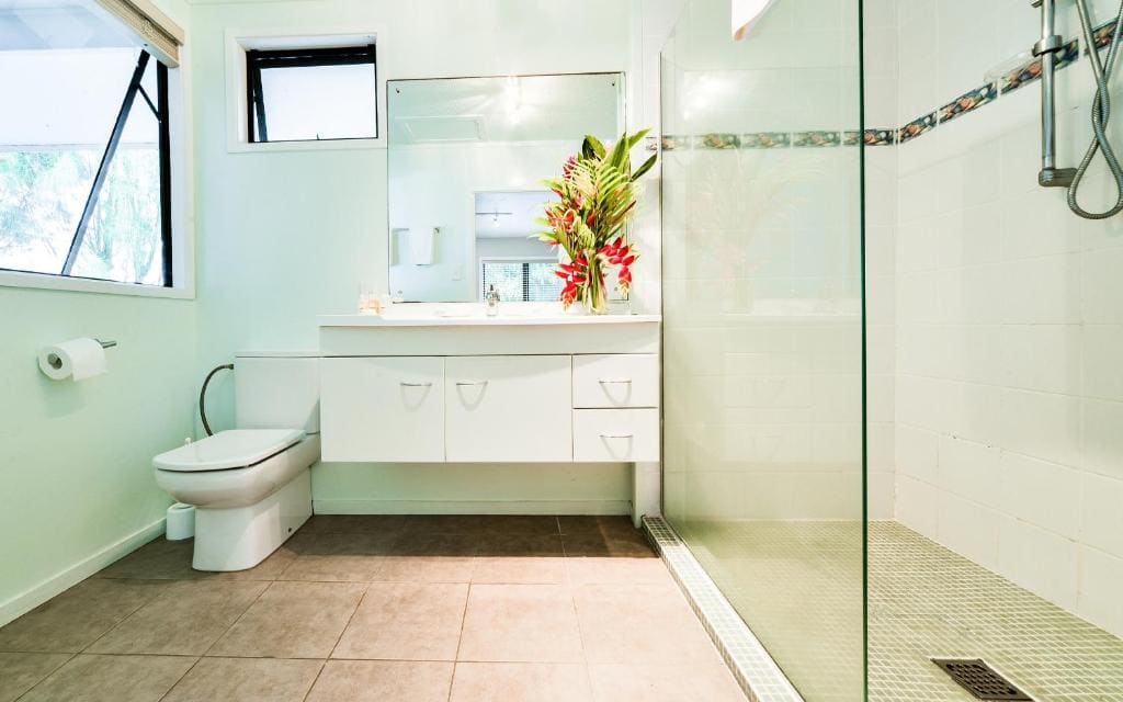 Palm Grove - Vista 4
