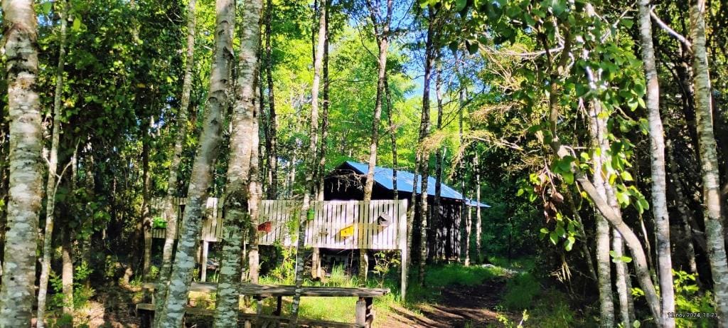 Cabaña Ruka trinar - Vista 7