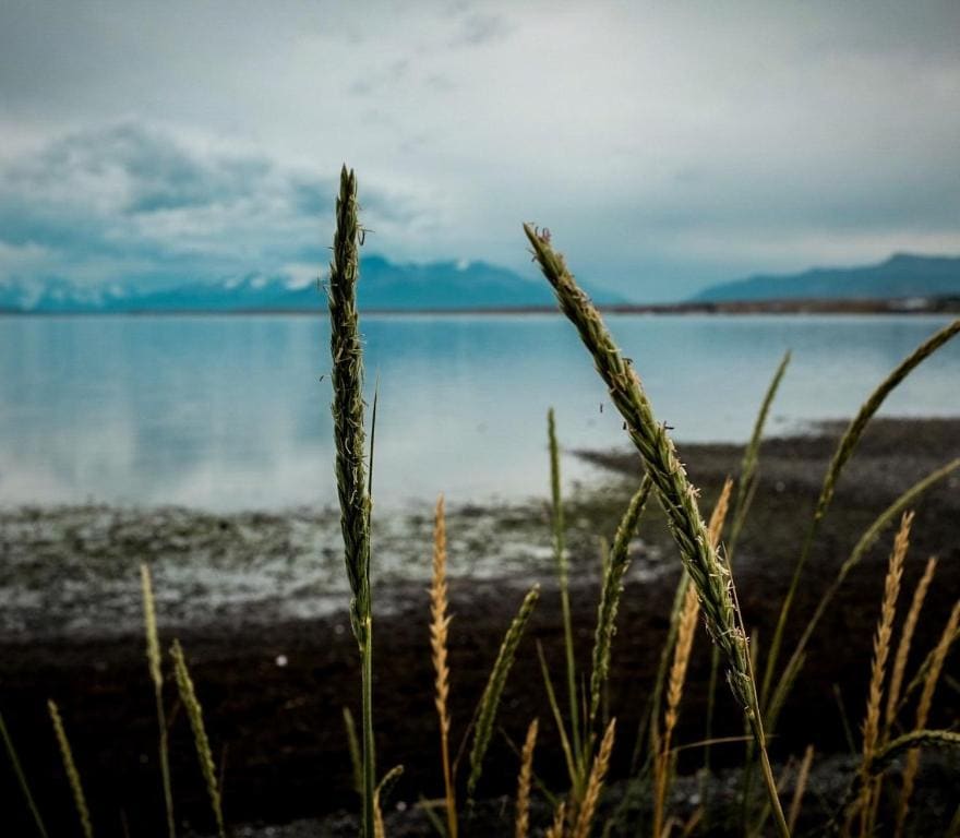 Hostal Boutique Factoria Patagonia - View 5