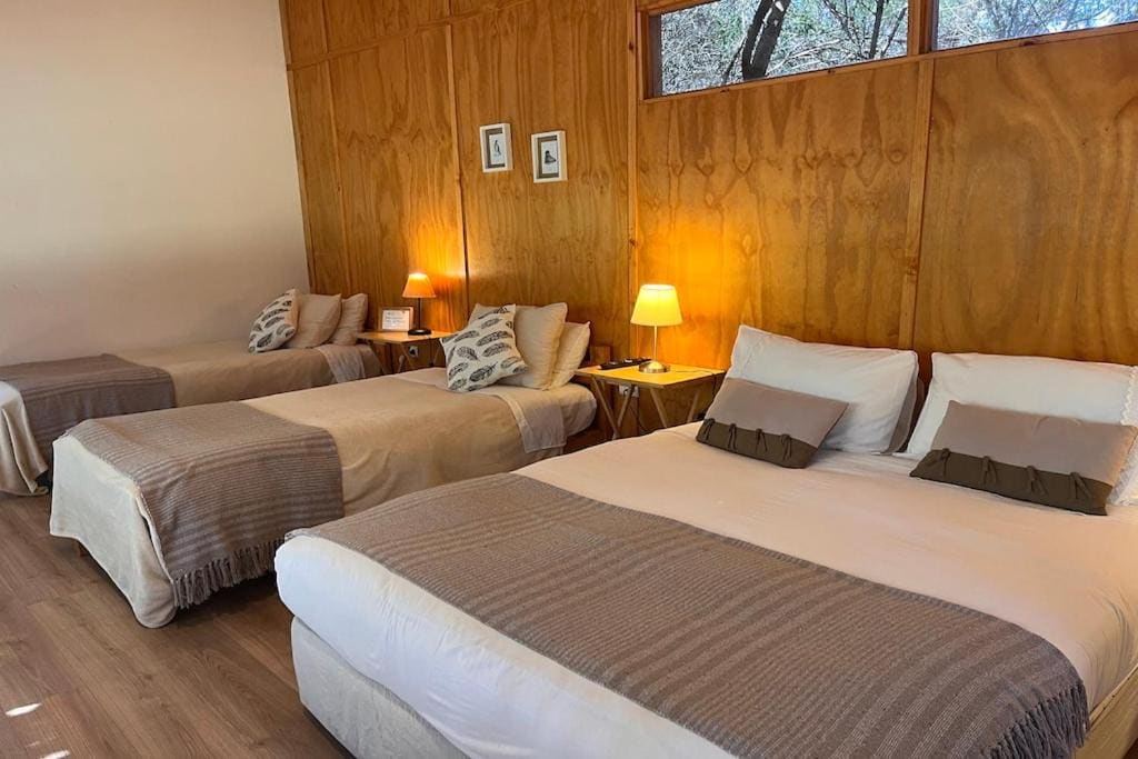 Eco Refugio El Arbol - View 7
